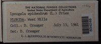 Image Associated With the Occurence